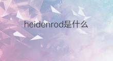 heidenrod是什么意思 heidenrod的中文翻译、读音、例句