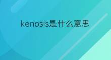 kenosis是什么意思 kenosis的中文翻译、读音、例句