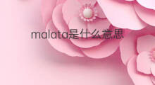 malata是什么意思 malata的中文翻译、读音、例句