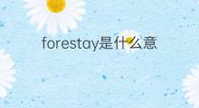 forestay是什么意思 forestay的中文翻译、读音、例句