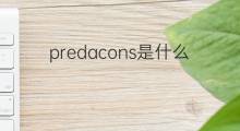 predacons是什么意思 predacons的中文翻译、读音、例句
