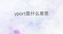 yport是什么意思 yport的中文翻译、读音、例句