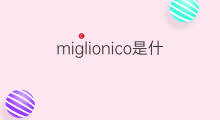 miglionico是什么意思 miglionico的中文翻译、读音、例句