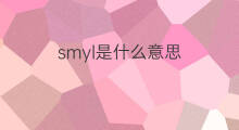 smyl是什么意思 smyl的中文翻译、读音、例句
