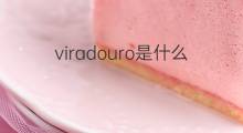 viradouro是什么意思 viradouro的中文翻译、读音、例句