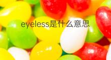 eyeless是什么意思 eyeless的中文翻译、读音、例句