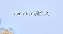 everclean是什么意思 everclean的翻译、读音、例句、中文解释