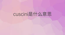 cuscini是什么意思 cuscini的中文翻译、读音、例句