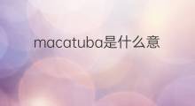 macatuba是什么意思 macatuba的中文翻译、读音、例句