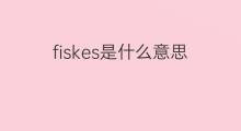 fiskes是什么意思 fiskes的中文翻译、读音、例句