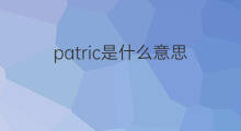 patric是什么意思 patric的中文翻译、读音、例句