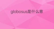 globosus是什么意思 globosus的中文翻译、读音、例句