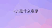 kyll是什么意思 kyll的中文翻译、读音、例句