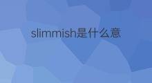 slimmish是什么意思 slimmish的翻译、读音、例句、中文解释