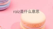 raiz是什么意思 raiz的中文翻译、读音、例句
