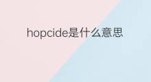 hopcide是什么意思 hopcide的中文翻译、读音、例句