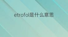 etrofol是什么意思 etrofol的中文翻译、读音、例句