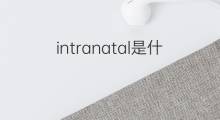 intranatal是什么意思 intranatal的中文翻译、读音、例句
