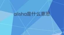 alisha是什么意思 alisha的中文翻译、读音、例句