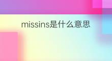 missins是什么意思 missins的中文翻译、读音、例句