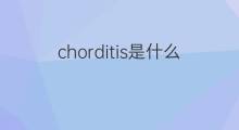 chorditis是什么意思 chorditis的中文翻译、读音、例句