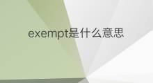 exempt是什么意思 exempt的中文翻译、读音、例句