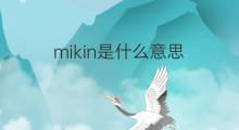 mikin是什么意思 mikin的翻译、读音、例句、中文解释