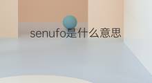 senufo是什么意思 senufo的中文翻译、读音、例句
