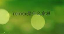 remex是什么意思 remex的中文翻译、读音、例句