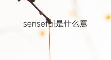 senseful是什么意思 senseful的中文翻译、读音、例句