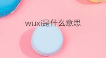 wuxi是什么意思 wuxi的中文翻译、读音、例句
