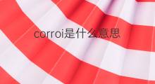 corroi是什么意思 corroi的翻译、读音、例句、中文解释