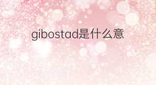 gibostad是什么意思 gibostad的中文翻译、读音、例句
