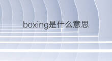 boxing是什么意思 boxing的中文翻译、读音、例句