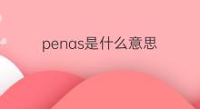 penas是什么意思 penas的中文翻译、读音、例句