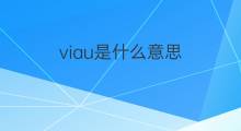 viau是什么意思 viau的中文翻译、读音、例句