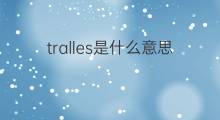 tralles是什么意思 tralles的中文翻译、读音、例句