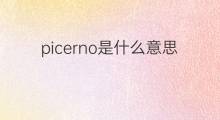 picerno是什么意思 picerno的中文翻译、读音、例句