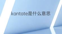 kantate是什么意思 kantate的翻译、读音、例句、中文解释