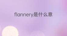 flannery是什么意思 flannery的中文翻译、读音、例句
