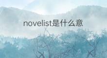 novelist是什么意思 novelist的翻译、读音、例句、中文解释