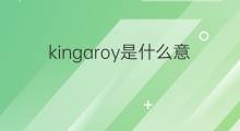 kingaroy是什么意思 kingaroy的中文翻译、读音、例句