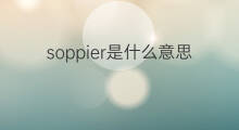 soppier是什么意思 soppier的中文翻译、读音、例句