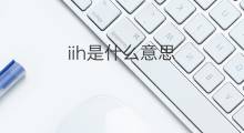 iih是什么意思 iih的中文翻译、读音、例句
