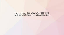 wuas是什么意思 wuas的中文翻译、读音、例句