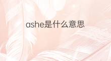 ashe是什么意思 ashe的中文翻译、读音、例句