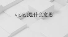 violist是什么意思 violist的中文翻译、读音、例句