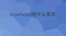 bowhead是什么意思 bowhead的中文翻译、读音、例句