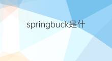 springbuck是什么意思 springbuck的中文翻译、读音、例句