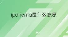 ipanema是什么意思 ipanema的中文翻译、读音、例句